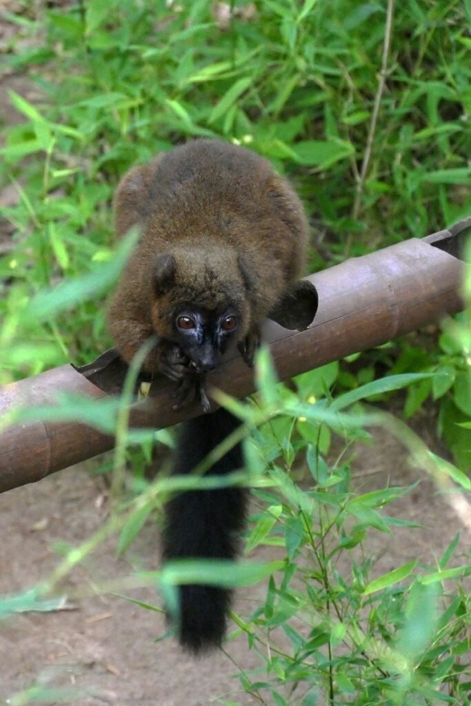 Les Atouts Touristiques de Madagascar